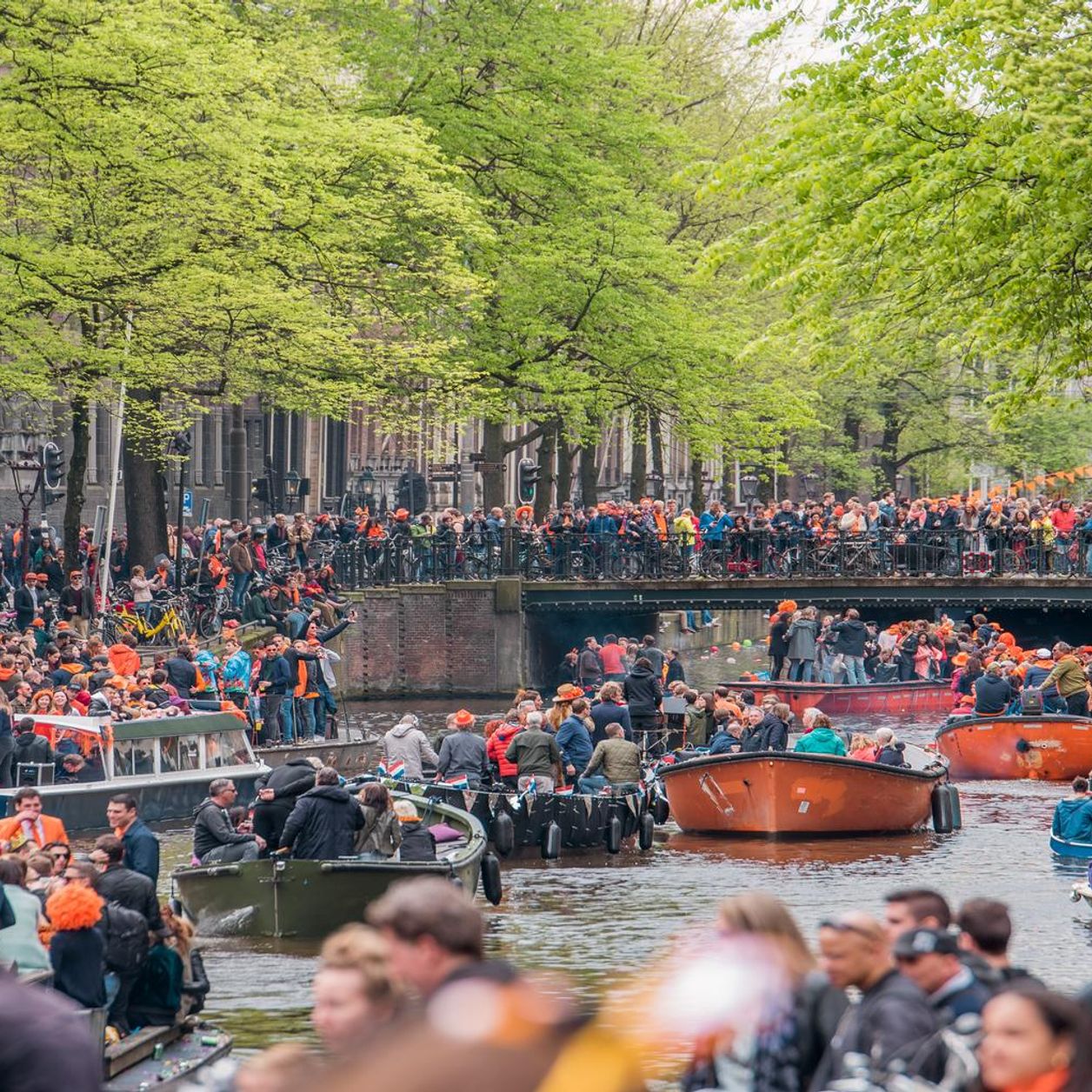 Kings day amsterdam